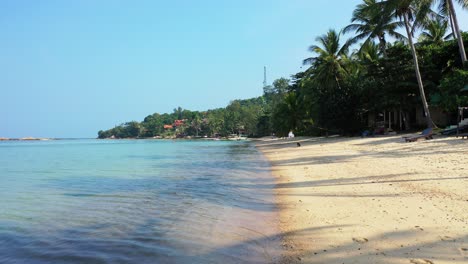 White-sandy-beach-with-tall-palm-trees