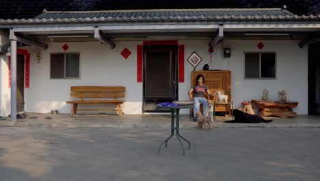 Traditionelles-Taiwanesisches-Dorfhaus-Mit-Einer-Frau,-Die-Mit-Ihren-Hunden-Entspannt-Auf-Der-Veranda-Sitzt