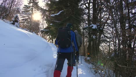Excursionistas-Masculinos-Y-Femeninos-Caminan-A-Través-Del-Bosque-Nevado-En-El-Soleado-Día-De-Invierno,-El-Sol-Brilla,-Hermosos-Destellos-De-Lentes