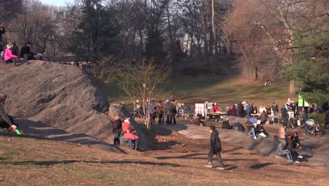 Central-Park-Grassy-Area-With-People-Walking-And-Vendors-During-Christmas-Holiday-Time