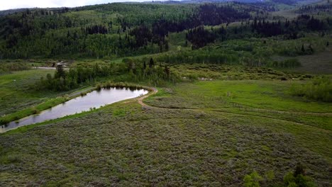 A-drone-shot-coming-to-a-pond-with-a-green-meadow-surround-it
