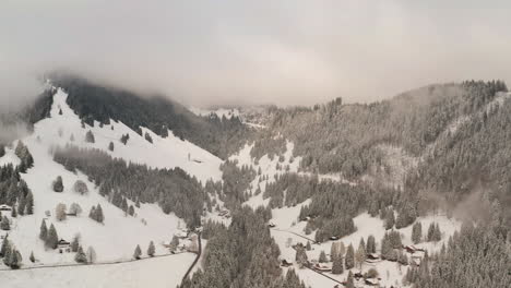 Schöne-Luftaufnahme-Eines-Schneebedeckten-Berges-Mit-Wald