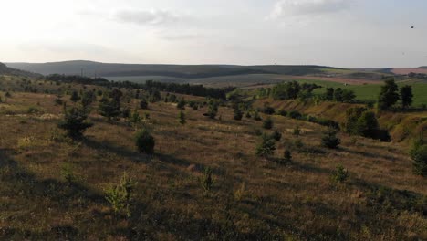 Luftaufnahme-Der-Ukrainischen-Landschaft-Bei-Sonnenuntergang-Mit-Vögeln,-Die-Durch-Den-Rahmen-Fliegen