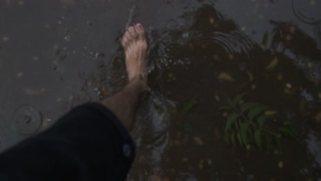 Super-slow-motion-hairy-white-male-feet-walking-barefoot-through-a-muddy-puddle-full-of-vegetation-from-above