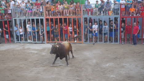 Cámara-Lenta-Después-De-La-Toma-De-Un-Toro-Cargando-Contra-La-Gente-Detrás-De-Jaulas-Multicolores