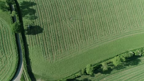Top-down-aerial-of-a-tractor-tedding-cut-grass,-the-process-of-turning-over-grass-to-dry-quicker