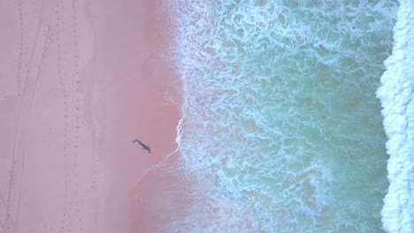 Rosafarbener-Sandstrand-Mit-Türkisblauem-Meerwasser,-Das-An-Die-Küste-Kracht,-Und-Ein-Mann,-Der-Am-Strand-Entlang-Geht