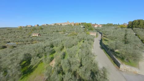 Aerial-dolly-forward-over-the-olive-trees-and-vineyards-in-Tuscany,-Italy
