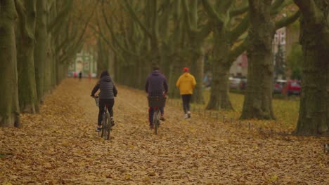 Paar-Fährt-Mit-Dem-Fahrrad-Entlang-Einer-Allee-Mit-Herbstbäumen,-Die-Einen-Weg-Mit-Gelben-Blättern-Säumen,-Weitwinkelaufnahme