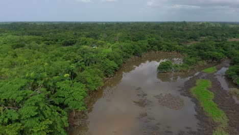 Aerial-view-over-swamp-in-wetlands,-Dominican-Republic