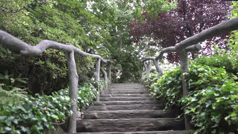 Aufsteigende-Aufnahme-Einer-Maßgefertigten-Holztreppe-Und-Eines-Geländers,-Umgeben-Von-Viel-Grün-In-Einem-öffentlichen-Garten