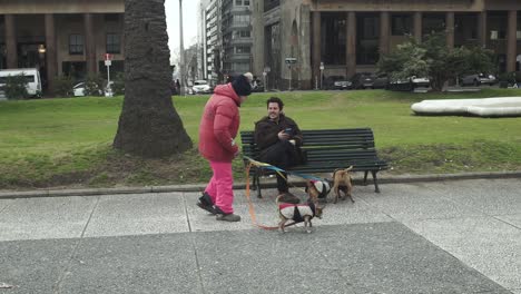 Lady-walking-dogs-in-Independence-Square,-Montevideo