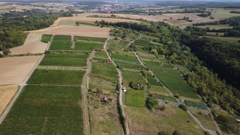 Vista-Aérea-De-Viñedos-Y-Campos-En-Baden-wurtemberg,-Alemania