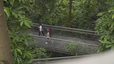 View-Of-Tourist-Hikers-Walking-Along-The-Connecting-Trail-In-Southern-Ridges,-Singapore