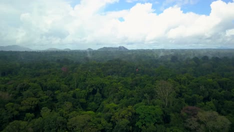 Helicopter-flying-low-over-rainforest-jungle,-rising-aerial-view
