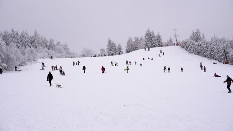 Many-people-sledging-on-ski-slope