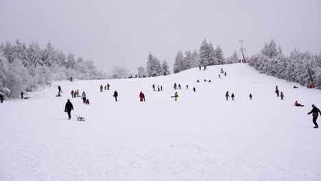 Viele-Menschen-Rodeln-Auf-Der-Skipiste