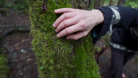 Hand-going-over-green-moss-on-a-tree-in-the-forest
