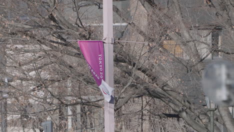 Bandera-Olímpica-De-Tokio-2020-Que-Sopla-Y-Ondea-En-El-Viento-Con-árboles-Sin-Hojas-En-El-Fondo---Tiro-Estático