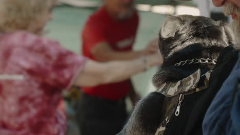 Hombre-Blanco-Adulto-Con-Pug-Negro-En-El-Pecho-Portador-De-Papoose