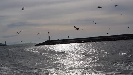 Seagulls-Flying-Around-Lighthouse-In-Silhouette-On-A-Bright-Sunny-Day-In-Bosphorus,-Istanbul,-Turkey