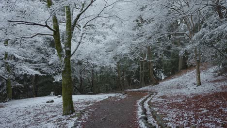 Snow-falling-in-Park,-Path-leading-into-woods