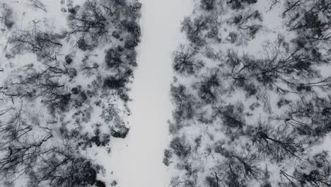 Oben-Luftaufnahme-Eines-Verschneiten-Weges-In-Einem-Waldgebiet-In-Einer-Winterlandschaft