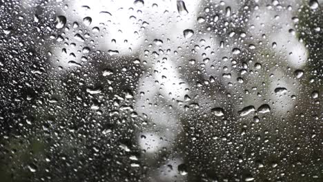 Regen-Auf-Ein-Autofenster-Mit-Regentropfen,-Die-Nach-Unten-Fließen,-Wald-Im-Hintergrund