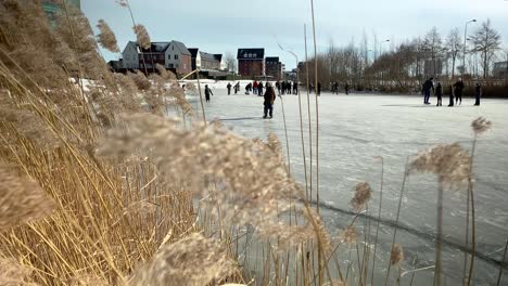 People-enjoy-on-a-frozen-pond-in-a-city-park-during-the-freezing-cold-in-February,-which-lasted-only-one-week