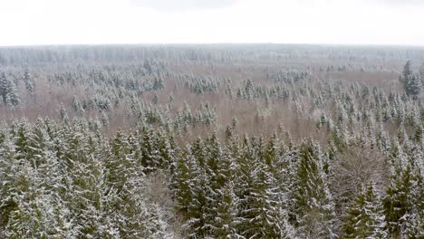 Wonderful-nature-in-the-winter---smooth-drone-flight-over-a-partially-snow-covered-forest