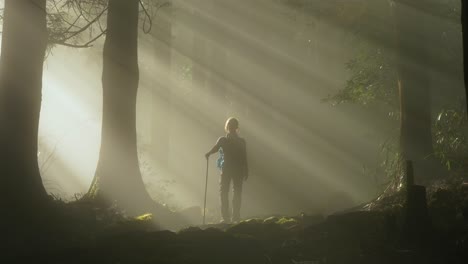 Focus-pull,-sunlight-filtering-through-fog-and-trees-to-sillohette-person,-Japan