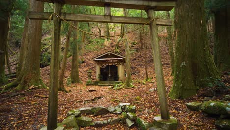 Inclinar-Hacia-Abajo,-Santuario-Y-Puerta-Entre-Bosques,-Kumano-Kodo-Japón