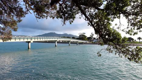 A-kayaker-paddling-under-a-pedestrian-footbridge-through-the-trees-in-Raglan,-New-Zealand