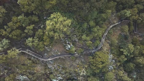 Aerial-drone-footage-of-nice-wooden-pathway-in-mountain-jungle-on-rocks