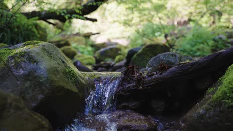 Pure-mountain-stream,-Slow-Motion-Pan,-Tottori-Mountains,-Japan