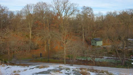 Winterlandschaft-Mit-Einem-Einsamen-Mann,-Der-An-Einem-Kalten-Morgen-In-Schweden-Spaziert