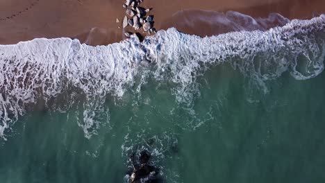 Italian-coastline,-morning-light,-bird's-eye-view---rocks-on-the-beach-hit-by-the-waves-of-the-Adriatic-Sea---zoom-out-aerial-footage