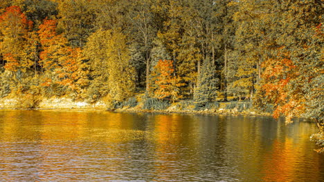 Scenic-River-Landscape-With-Trees-In-Brilliant-Autumn-Colors,-Koknese,-Latvia