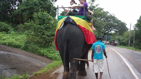 Blick-Auf-Touristen,-Die-Auf-Einem-Elefanten-Auf-Der-Straße-Reiten,-Während-Der-Mahout-Den-Vorbeifahrenden-Verkehr-Lenkt,-Während-Die-Touristen-Damit-Beschäftigt-Sind,-Fotos-Von-Der-üppigen-Grünen-Vegetation-In-Kandy,-Sri-Lanka,-Zu-Machen