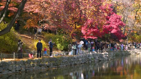 Korean-people-stroll-in-Autumn-Garden-near-Chundangji-pond-in-Autumn,-Changgyeonggung-Palace,-Seoul-South-Korea