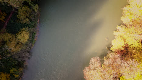 Top-down-aerial,-river-stream-with-colorful-autumn-trees-on-river-bank