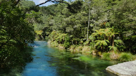 Wide-shot-showing-tranquil-Tarawera-River-and-tropical-jungle-in-summertime---New-Zealand,-Kawerau