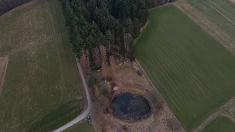 A-small,-round-pond-between-green-fields-on-the-edge-of-a-coniferous-forest-in-Germany