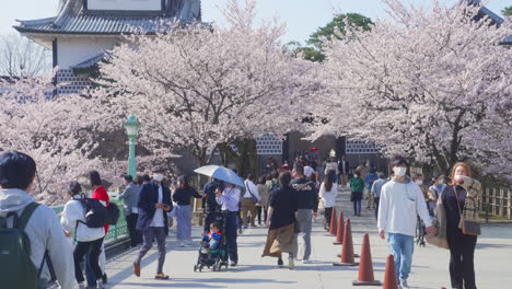 Personas-Con-Máscaras-Paseando-En-El-Jardín-Kenroku-en-Durante-La-Temporada-De-Sakura-En-Kanazawa,-Japón