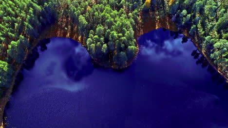 Aerial-top-down-of-tranquil-reflecting-lake-with-growing-trees-on-shore-during-sunny-day---shape-of-heart