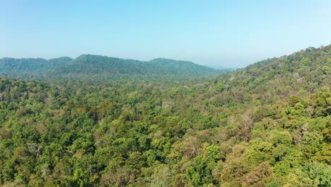 Flying-over-a-jungle-as-Parakeets-circle-the-camera-over-the-dense-forest