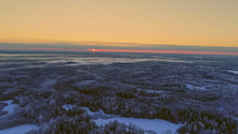 Aerial-view-sunrise-over-snow-covered-spruce-forest-and-fields