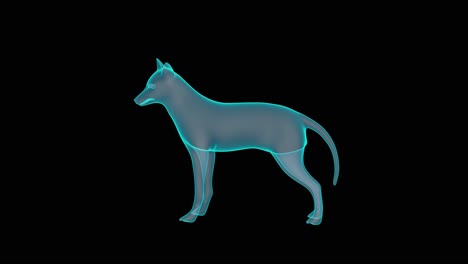Ein-Wunderschönes-3D-Fuchs-Hologramm-Plattenspieler-Rendering