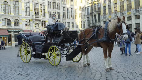 Mujer-Cochera-En-Carruaje-Tirado-Por-Caballos-Esperando-Al-Cliente-En-Grand-Place-En-Bruselas,-Bélgica