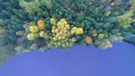 Drone-rises-into-clouds-above-lake-and-dense-forest-with-vibrant-fall-colors